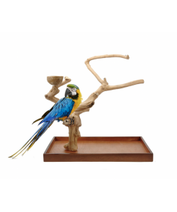 Java Tree Hardwood Mini Tree Macaw Table Top Play Stand